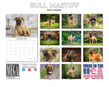 Bull Mastiff Wall Calendar 2027 - 12" x 9" 14-Month Dog Breed Calendar