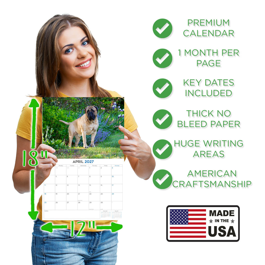 Bull Mastiff Wall Calendar 2027 - 12" x 9" 14-Month Dog Breed Calendar