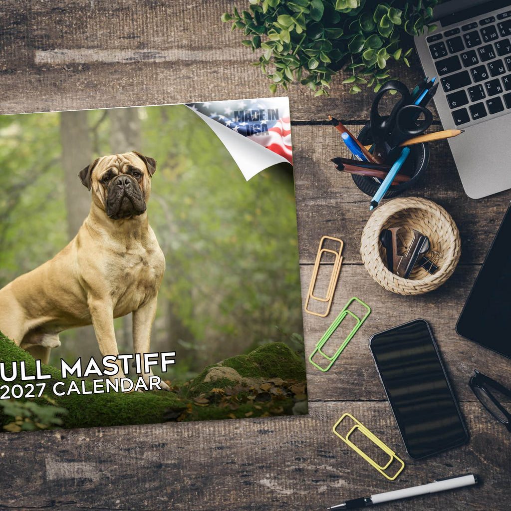 Bull Mastiff Wall Calendar 2027 - 12" x 9" 14-Month Dog Breed Calendar