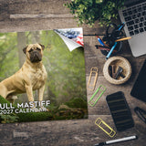 Bull Mastiff Wall Calendar 2027 - 12" x 9" 14-Month Dog Breed Calendar