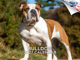 Bulldog Wall Calendar 2027 - 12" x 9" 14-Month Dog Breed Calendar