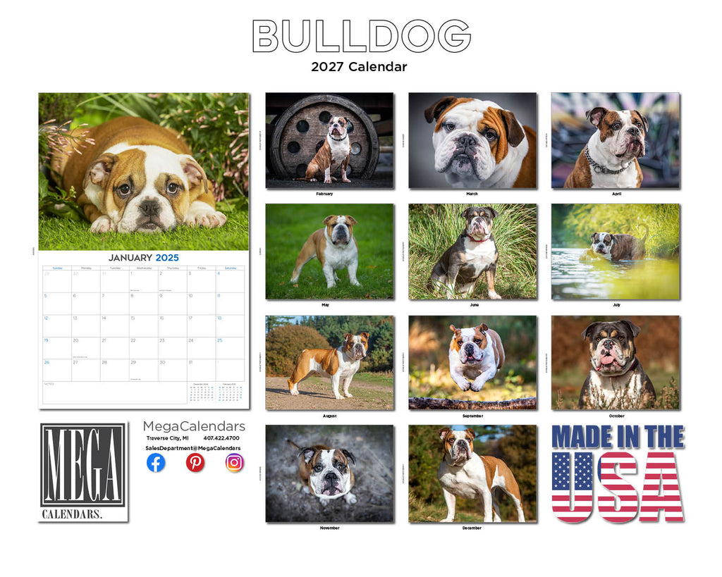 Bulldog Wall Calendar 2027 - 12" x 9" 14-Month Dog Breed Calendar