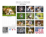 Bulldog Wall Calendar 2027 - 12" x 9" 14-Month Dog Breed Calendar