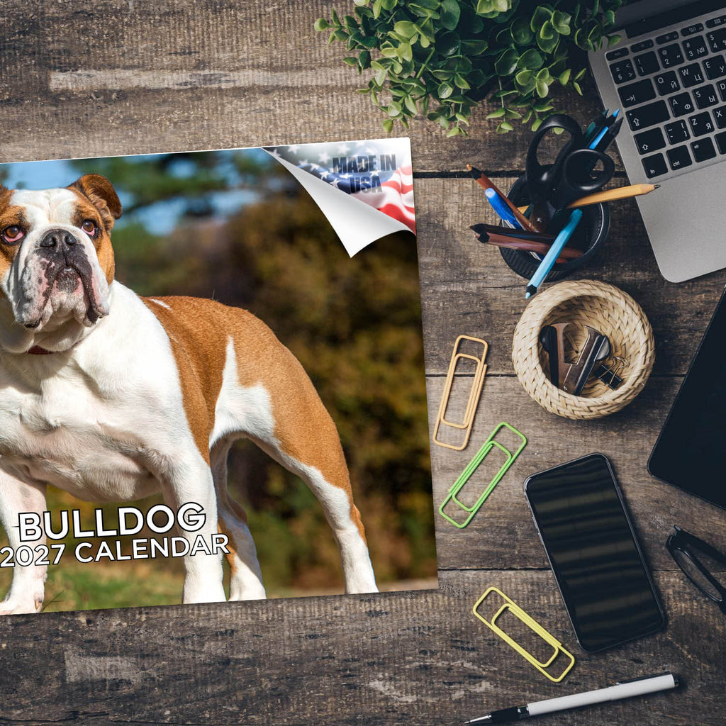 Bulldog Wall Calendar 2027 - 12" x 9" 14-Month Dog Breed Calendar
