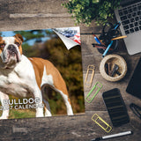Bulldog Wall Calendar 2027 - 12" x 9" 14-Month Dog Breed Calendar