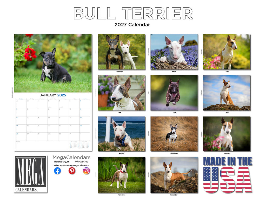 Bull Terrier Wall Calendar 2027 - 12" x 9" 14-Month Dog Breed Calendar