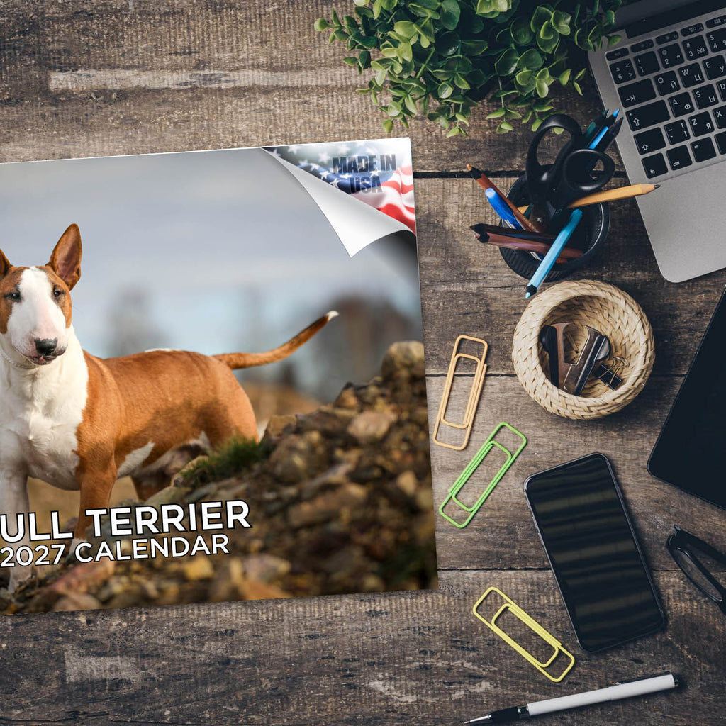 Bull Terrier Wall Calendar 2027 - 12" x 9" 14-Month Dog Breed Calendar