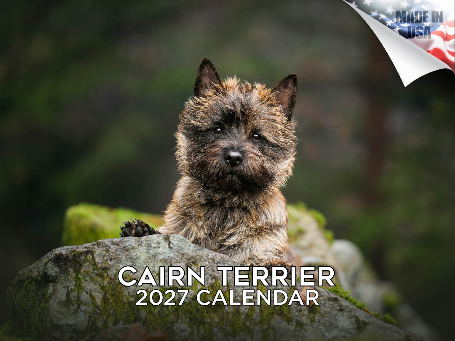 Cairn Terrier Wall Calendar 2027 - 12