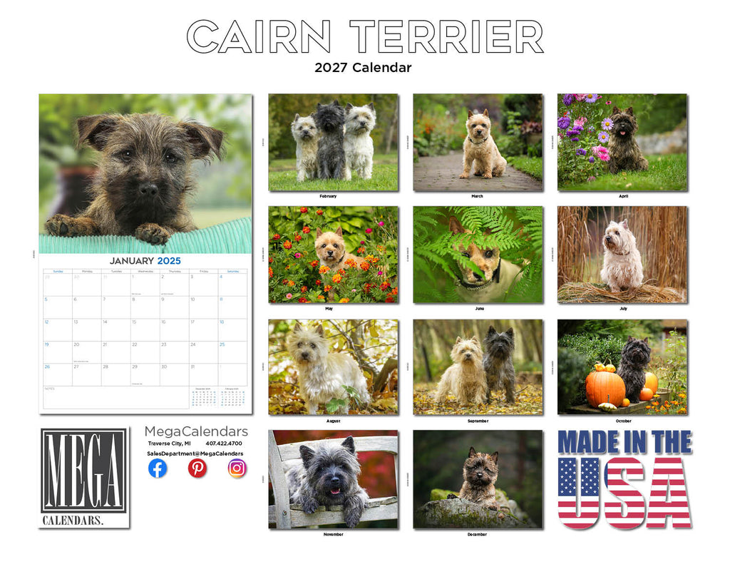 Cairn Terrier Wall Calendar 2027 - 12" x 9" 14-Month Dog Breed Calendar