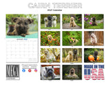 Cairn Terrier Wall Calendar 2027 - 12" x 9" 14-Month Dog Breed Calendar