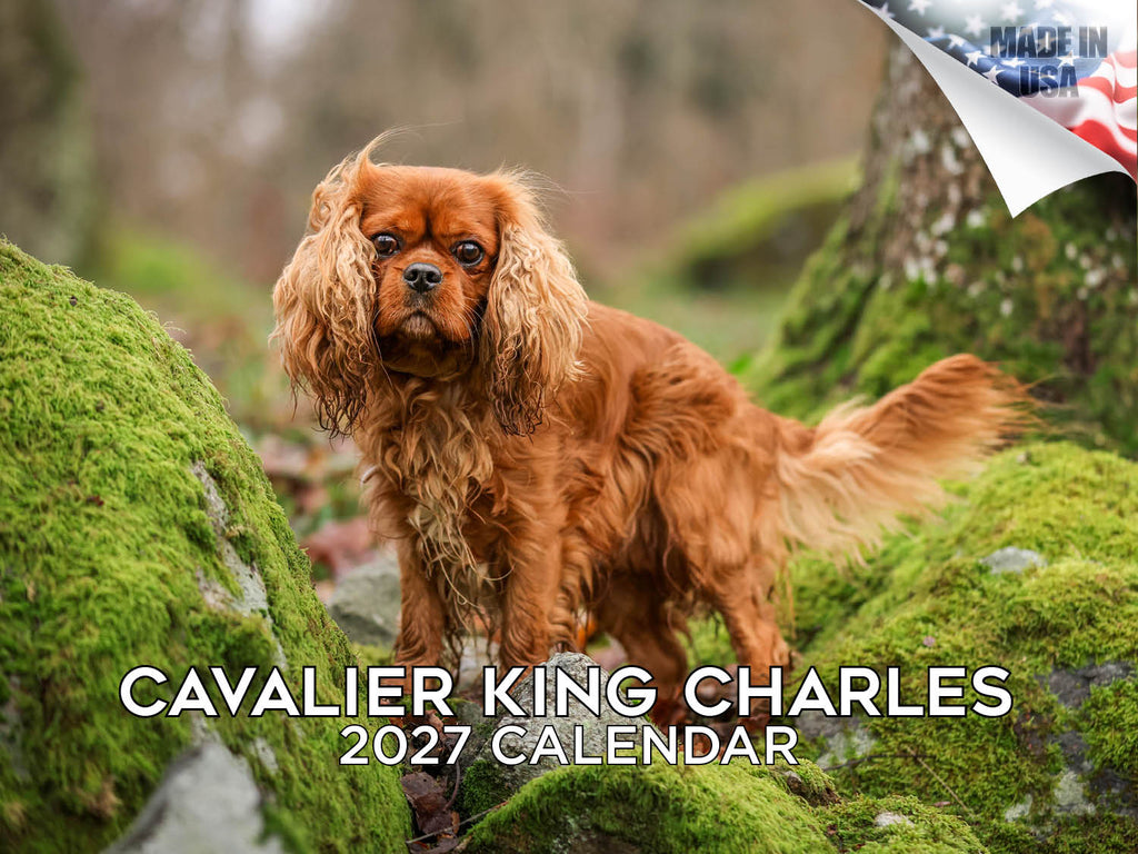 Cavalier King Charles Spaniel Wall Calendar 2027 - 12" x 9" 14-Month Dog Breed Calendar
