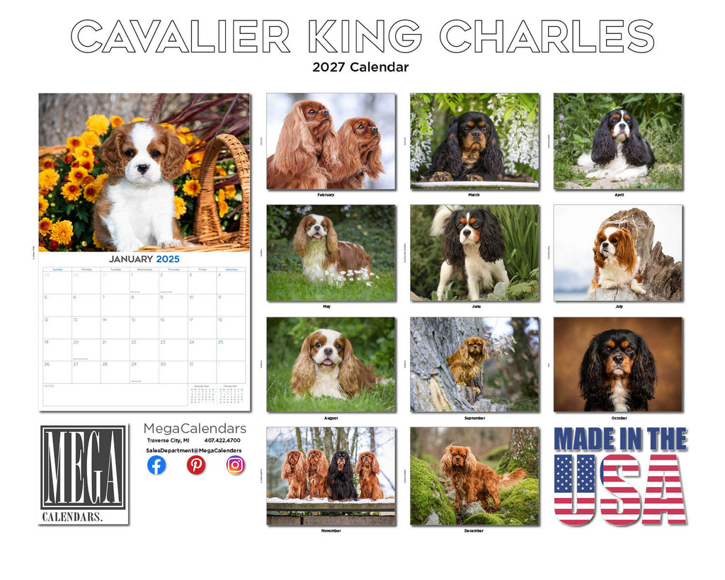 Cavalier King Charles Spaniel Wall Calendar 2027 - 12" x 9" 14-Month Dog Breed Calendar
