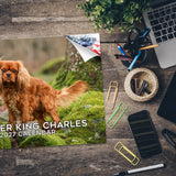 Cavalier King Charles Spaniel Wall Calendar 2027 - 12" x 9" 14-Month Dog Breed Calendar