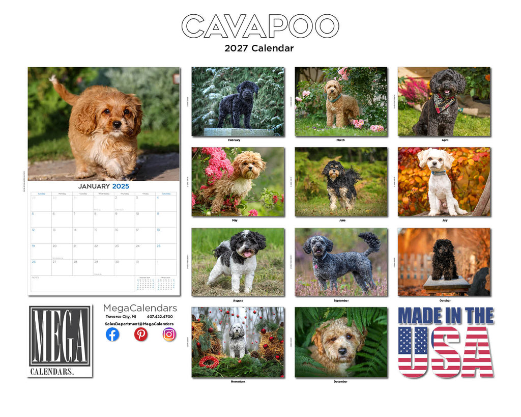 Cavapoo Wall Calendar 2027 - 12" x 9" 14-Month Dog Breed Calendar