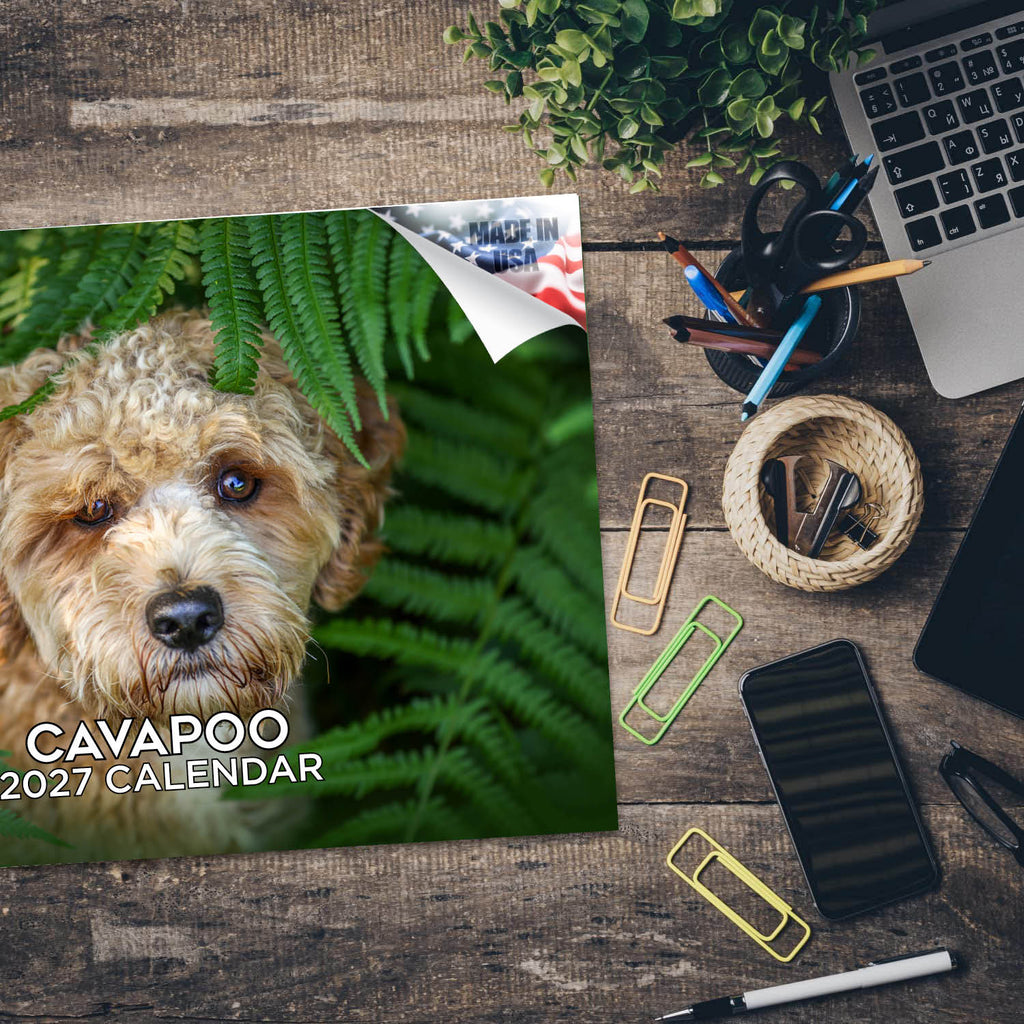 Cavapoo Wall Calendar 2027 - 12" x 9" 14-Month Dog Breed Calendar