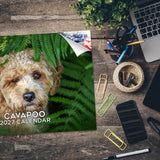 Cavapoo Wall Calendar 2027 - 12" x 9" 14-Month Dog Breed Calendar