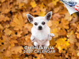 Chihuahua Wall Calendar 2027 - 12" x 9" 14-Month Dog Breed Calendar