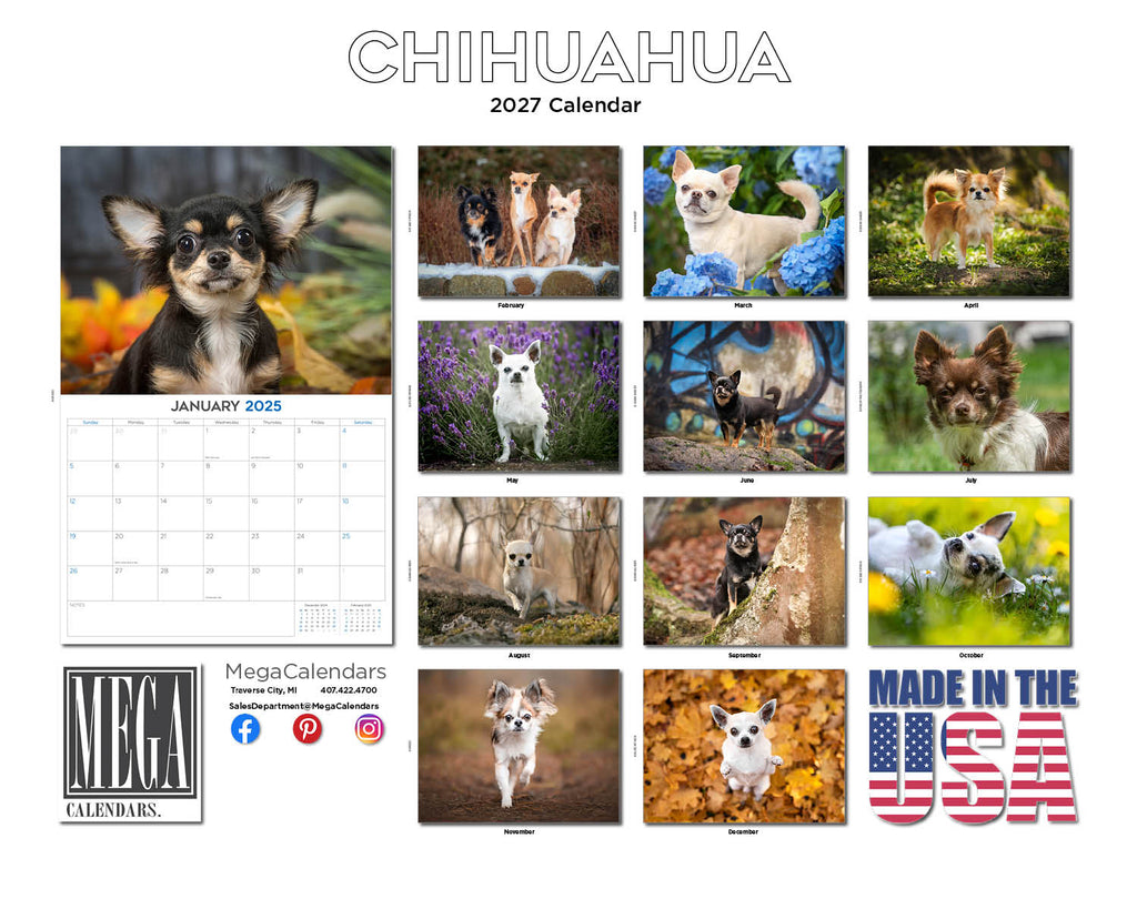 Chihuahua Wall Calendar 2027 - 12" x 9" 14-Month Dog Breed Calendar