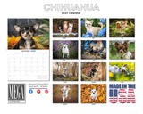 Chihuahua Wall Calendar 2027 - 12" x 9" 14-Month Dog Breed Calendar
