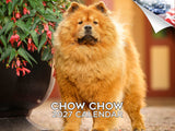 Chow Chow Wall Calendar 2027 - 12" x 9" 14-Month Dog Breed Calendar