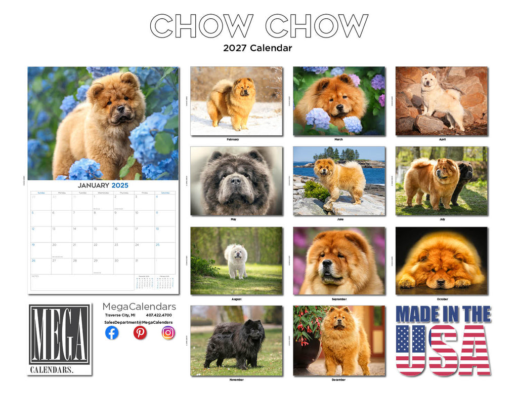 Chow Chow Wall Calendar 2027 - 12" x 9" 14-Month Dog Breed Calendar