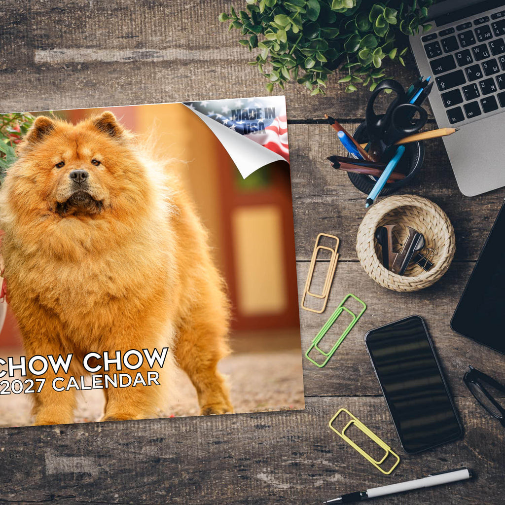 Chow Chow Wall Calendar 2027 - 12" x 9" 14-Month Dog Breed Calendar