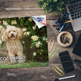 Cockapoo Wall Calendar 2027 - 12" x 9" 14-Month Dog Breed Calendar