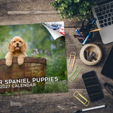 Cocker Spaniel Puppies Wall Calendar 2027 - 12" x 9" 14-Month Dog Breed Calendar