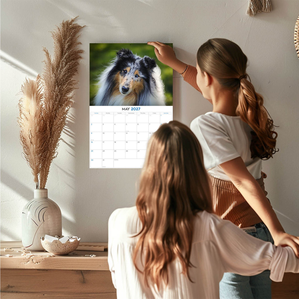 Collie Wall Calendar 2027 - 12" x 9" 14-Month Dog Breed Calendar