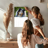 Collie Wall Calendar 2027 - 12" x 9" 14-Month Dog Breed Calendar