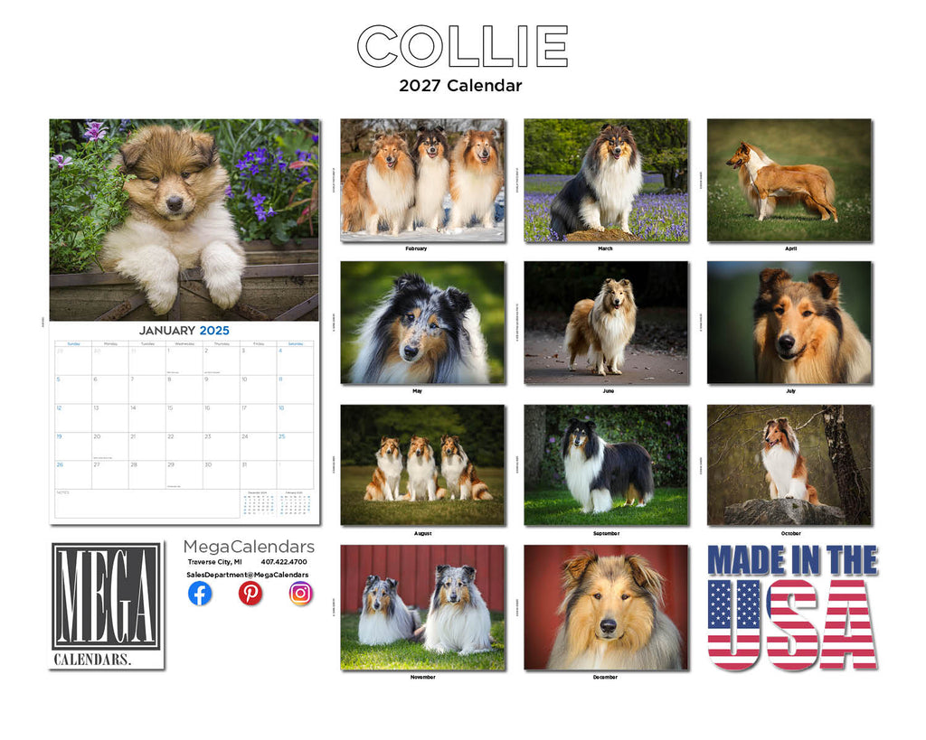 Collie Wall Calendar 2027 - 12" x 9" 14-Month Dog Breed Calendar