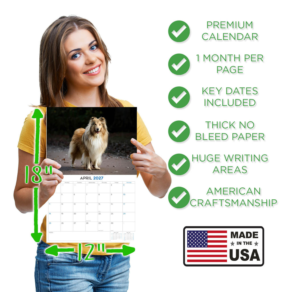 Collie Wall Calendar 2027 - 12" x 9" 14-Month Dog Breed Calendar