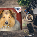 Collie Wall Calendar 2027 - 12" x 9" 14-Month Dog Breed Calendar