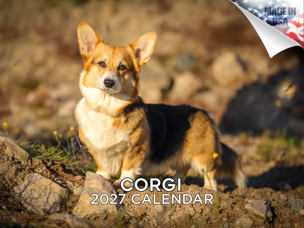 Corgi Wall Calendar 2027 - 12" x 9" 14-Month Dog Breed Calendar