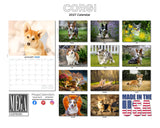Corgi Wall Calendar 2027 - 12" x 9" 14-Month Dog Breed Calendar