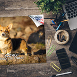 Corgi Wall Calendar 2027 - 12" x 9" 14-Month Dog Breed Calendar