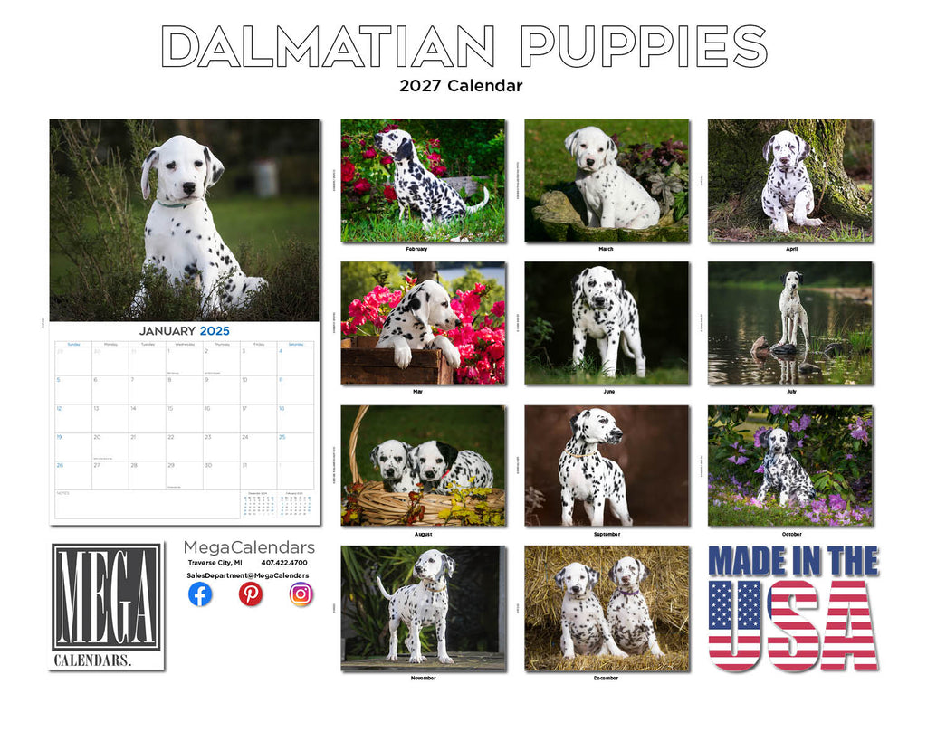 Dalmatian Puppies Wall Calendar 2027 - 12" x 9" 14-Month Dog Breed Calendar