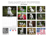 Dalmatian Puppies Wall Calendar 2027 - 12" x 9" 14-Month Dog Breed Calendar