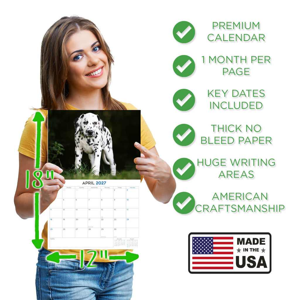 Dalmatian Puppies Wall Calendar 2027 - 12" x 9" 14-Month Dog Breed Calendar