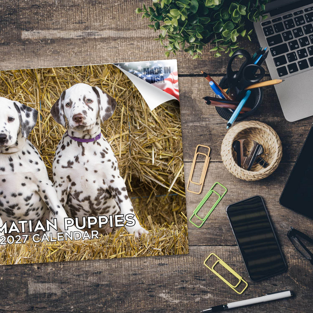 Dalmatian Puppies Wall Calendar 2027 - 12" x 9" 14-Month Dog Breed Calendar