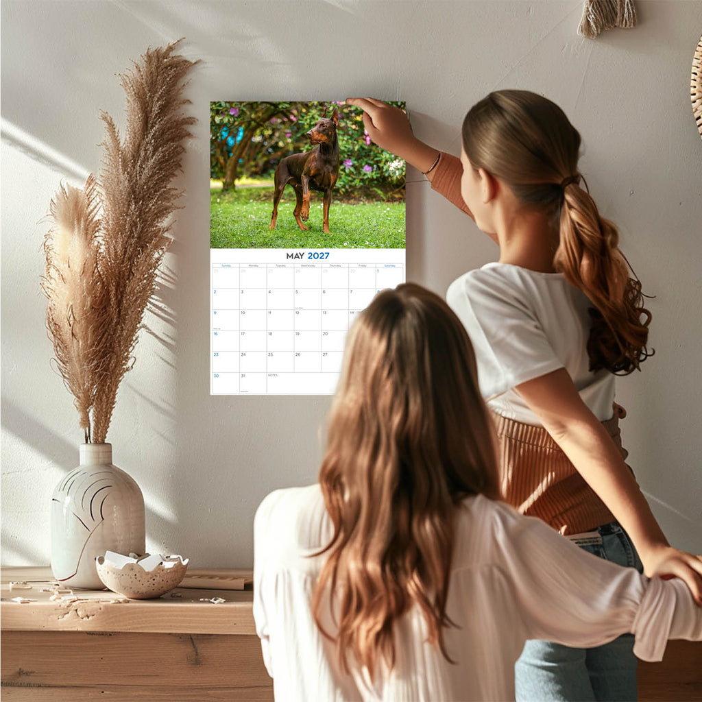 Doberman Wall Calendar 2027 - 12" x 9" 14-Month Dog Breed Calendar