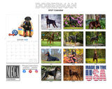 Doberman Wall Calendar 2027 - 12" x 9" 14-Month Dog Breed Calendar
