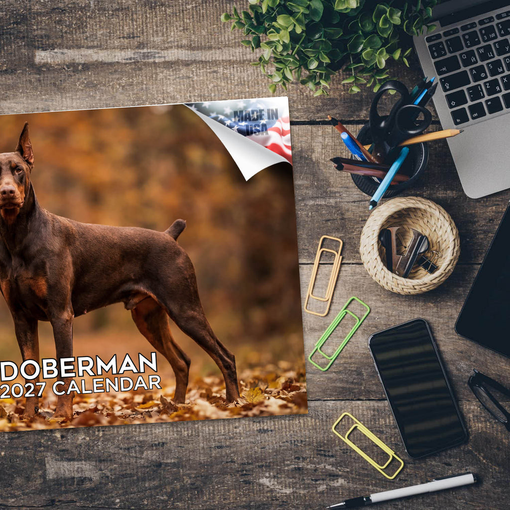 Doberman Wall Calendar 2027 - 12" x 9" 14-Month Dog Breed Calendar