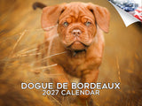 Dogue De Bordeaux Wall Calendar 2027 - 12" x 9" 14-Month Dog Breed Calendar