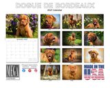 Dogue De Bordeaux Wall Calendar 2027 - 12" x 9" 14-Month Dog Breed Calendar