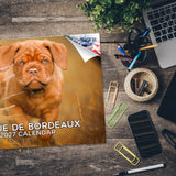 Dogue De Bordeaux Wall Calendar 2027 - 12" x 9" 14-Month Dog Breed Calendar