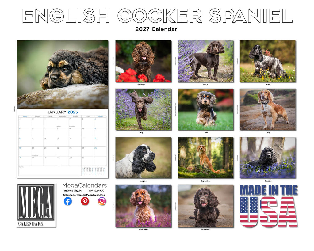English Cocker Spaniel Wall Calendar 2027 - 12" x 9" 14-Month Dog Breed Calendar