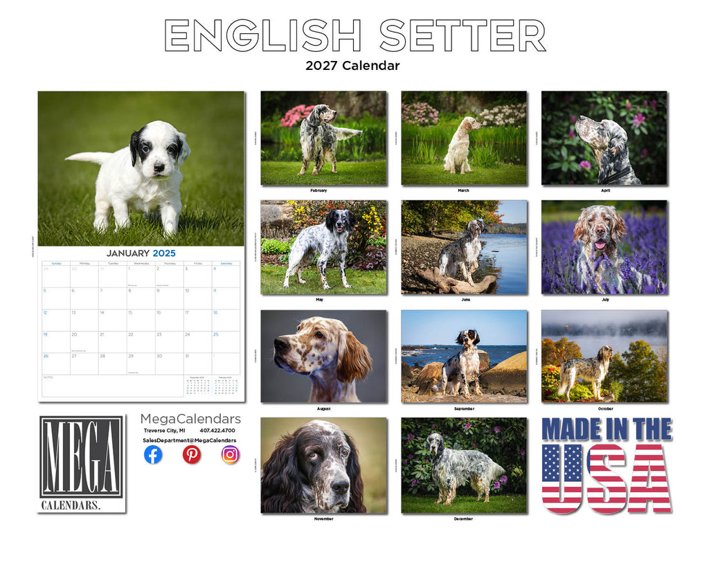 English Setter Wall Calendar 2027 - 12" x 9" 14-Month Dog Breed Calendar