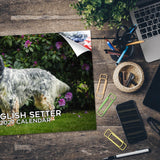 English Setter Wall Calendar 2027 - 12" x 9" 14-Month Dog Breed Calendar