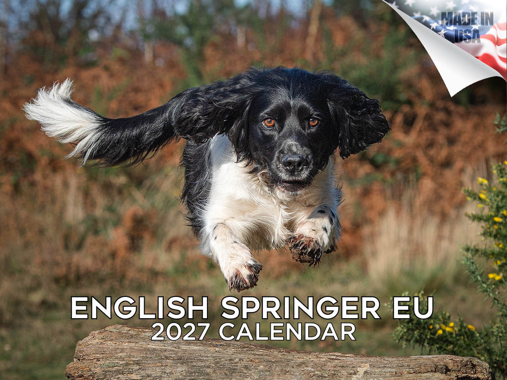 European English Springer Spaniel Wall Calendar 2027 - 12" x 9" 14-Month Dog Breed